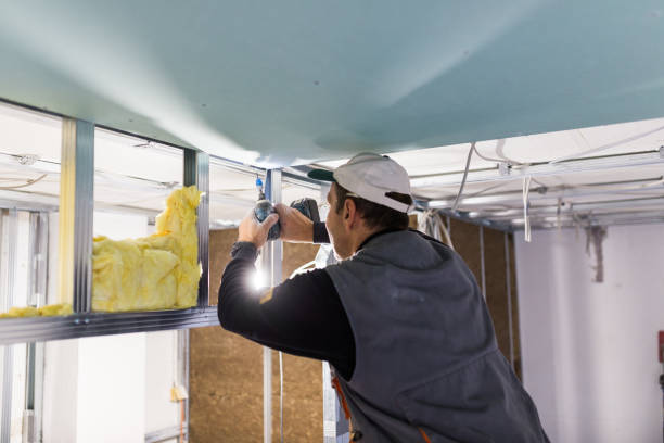 Best Insulation Maintenance and Repair in Lesslie, SC