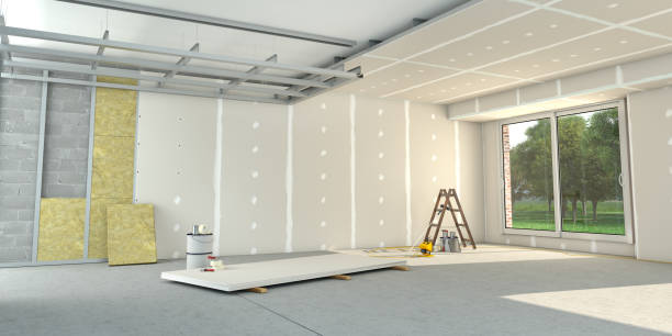 Best Cellulose Insulation in Lesslie, SC